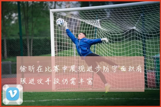 徐昕在比赛中展现进步防守面积有限进攻手段仍需丰富